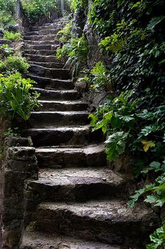 there is a set of stone stairs going up the hill