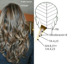 Hair Color Wheel, Blonde Hair Tips, Black And Grey Hair, Blonde Hair Transformations, Colored Hair Tips, Cabello Hair, Hair Color Formulas, Brunette Hair With Highlights