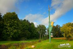 a tall green tree sitting in the middle of a lush green field next to a forest