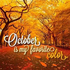 the words october is my favorite color on an image of trees and leaves in autumn