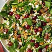 a salad with grapes, nuts and feta cheese in a bowl on a table