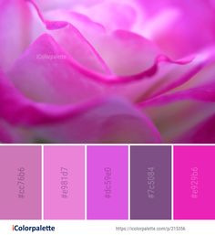 the color palette is pink and purple