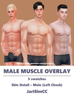 male muscle overlays for the skin deal