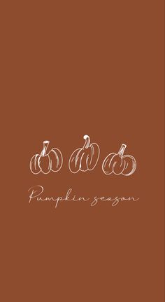 three pumpkins with the words pumpkin season written in white ink on a brown background