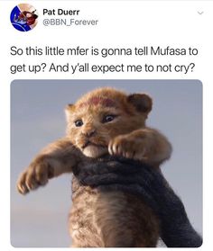 the lion cub is holding on to someone's arm and saying, so this little ner is gone tell mufasa to get up? and y'all expect me not to not cry?