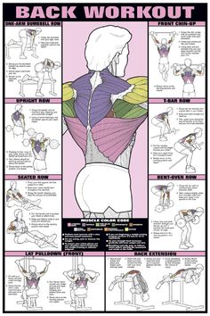 the back workout poster with instructions