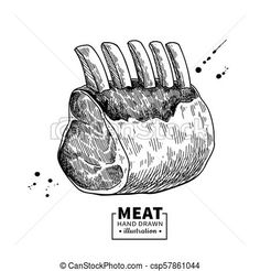 meat hand drawn illustration on white background