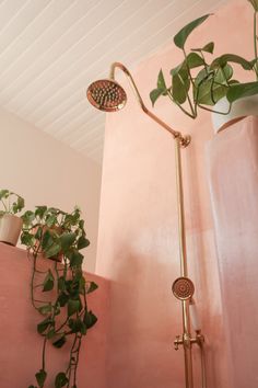 a pink bathroom with a shower head and plants