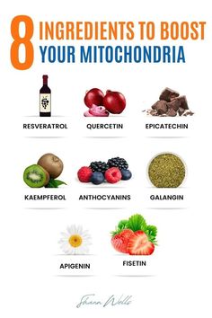 Discover 8 ingredients to boost your mitochondria and enhance your energy levels naturally. These key components support mitochondrial health, helping your body produce the necessary ATP to keep you energized. | Vitamins Supplements, Healthy Supplements, Diet and Nutrition Mitochondrial Health, Whole Food Diet, Increase Energy, Live Healthy, Boost Energy Levels, Better Health