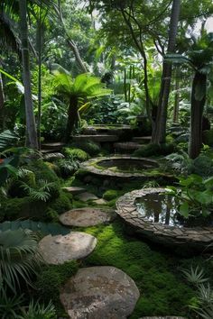 a lush green garden with stepping stones and plants in the center, surrounded by trees