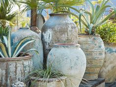 several large pots with plants in them sitting on the ground next to each other,