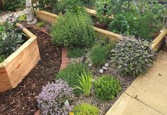 a garden filled with lots of different types of flowers and plants in wooden planters