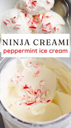 Ninja Creami peppermint ice cream is the perfect amount of peppermint flavor! Top the ice cream with crushed candy canes or peppermint pieces for even more peppermint flavor. Ice Cream Maker Recipes Healthy, Ninja Ice Cream Recipe, Protein Ice Cream Recipe, Peppermint Ice Cream, Healthy Ice Cream Recipes, Ninja Recipes