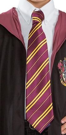 a man wearing a harry potter robe and a tie with the crest of hogwarts on it