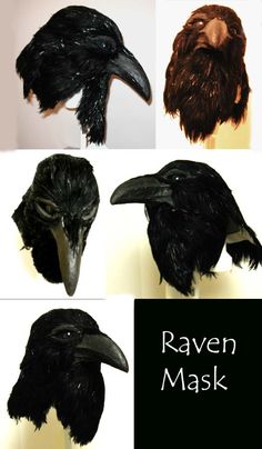 several different types of raven masks with black feathers and long beaks, all showing the same type of head