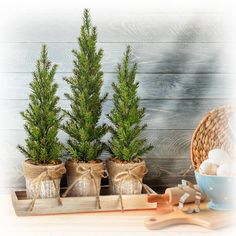 three small evergreen trees in wooden containers on a table next to a basket with eggs