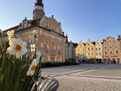 some flowers are in a pot on the ground near buildings and a clock tower with a steeple