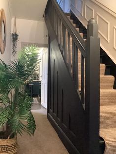 a plant in a pot on the ground next to a stair case that has been painted black