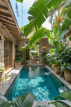 Soaking Pool, Small Pool Ideas, Small Backyard Pool Ideas, Small Backyard Pool, Lap Pools, Backyard Pool Ideas, Pool Club, Courtyard Ideas, Green Pool