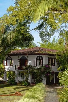 a white house surrounded by trees and plants