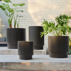 three black vases with plants in them sitting on concrete