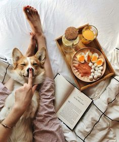 a woman laying in bed with her dog and breakfast