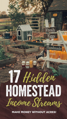 the front cover of 17 hidden homesteads and some items to make money without access