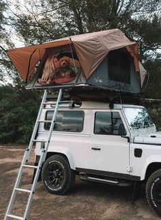 a dog sitting on top of a tent in the back of a white truck with a ladder