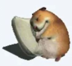 a brown and white hamster sitting on top of a pillow