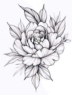 a black and white drawing of a flower