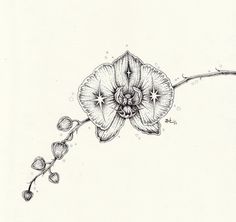 a drawing of a flower on a white paper