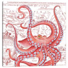 an octopus with blue eyes is shown on a red and white background, surrounded by words