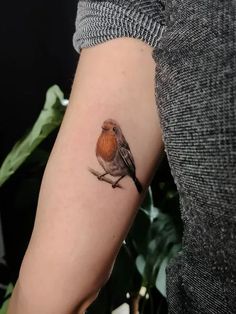 a small bird tattoo on the right forearm and arm, with a red breast sitting on a branch