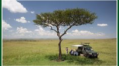 two people standing under a tree in the middle of an open field with a vehicle parked next to it