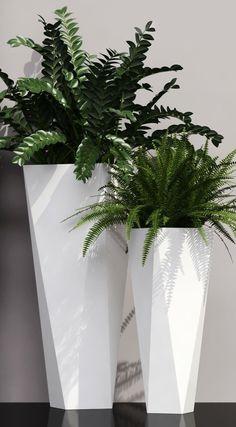 two white planters with green plants in them