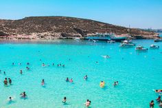 many people are swimming in the clear blue water and there is an island in the background