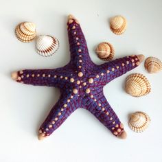 a purple starfish and some seashells on a white surface