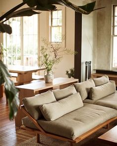 a living room filled with lots of furniture next to a plant on top of a hard wood floor