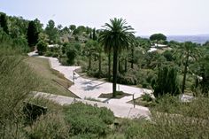 an aerial view of a skate park with palm trees and other greenery in the background