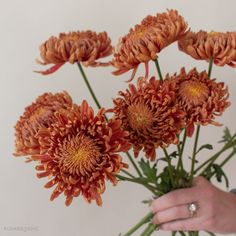 a person holding a bunch of flowers in their hand with the petals orange and yellow