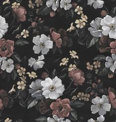 a black background with white, red and grey flowers on it's side is shown in full bloom