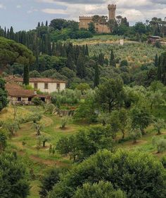 an old castle sits on top of a hill surrounded by trees and greenery in the foreground