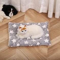 a cat laying on top of a bed next to a dog lying on the floor