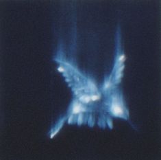 a blurry image of a butterfly in the dark