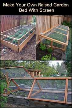 the garden bed is made out of wood and has plants growing in it