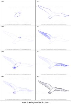 how to draw seagulls step by step