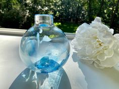 a glass vase sitting on top of a table next to a white carnation flower