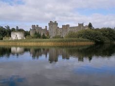 a castle sitting on top of a lush green field next to a lake in front of it