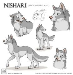 the character sheet for nishari, an animated wolf from disney's frozen world