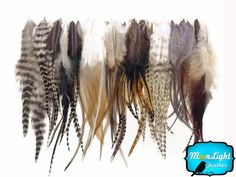 Wholesale Feathers 100 Pieces Wholesale NATURAL TONE Short | Etsy Wholesale Hair Extensions, Hair Extension Tools, Wholesale Crafts, Hair Extensions For Short Hair, Feather Hair Extensions, Rooster Feathers, Short Wedding Hair, Tone Hair, Feathered Hairstyles